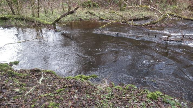 South Esk River at Temple Old Kirk